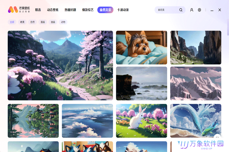 芒果壁纸标准版