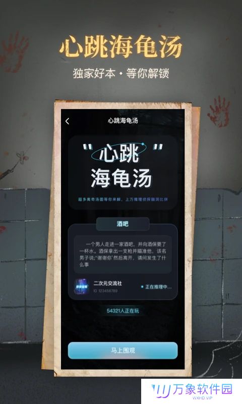 心跳海龟汤