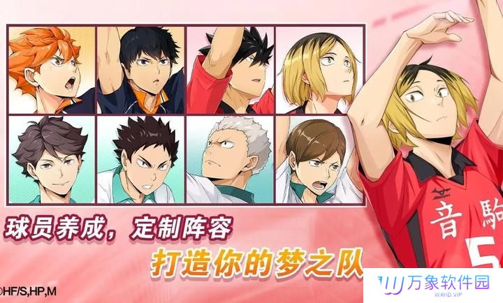 排球少年新的征程中文版
