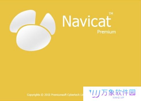 Navicat Premium 15升级版
