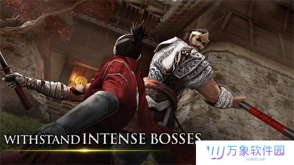 忍者武士隆中文完整版