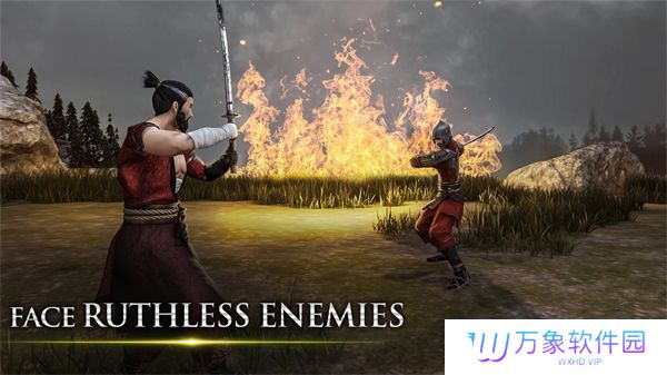 忍者武士隆中文完整版