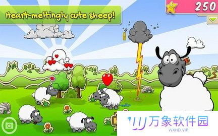 云和绵羊
