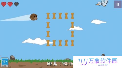 动物飞行大作战