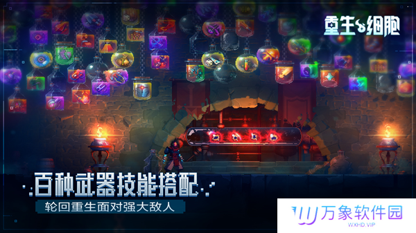 重生细胞完整版