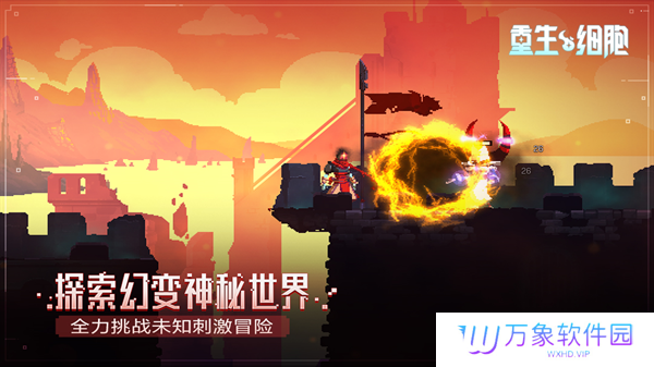 重生细胞