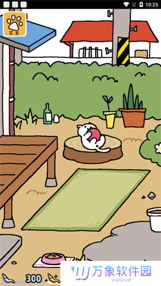 猫咪后院