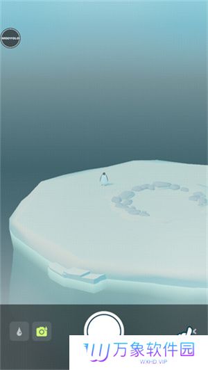 企鹅岛最新版