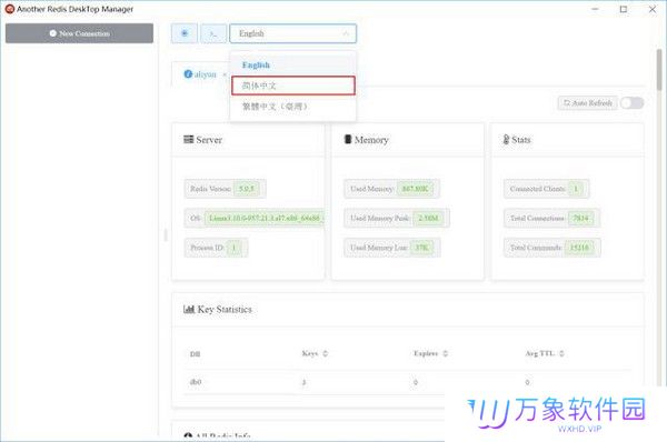 Another Redis DeskTop Manager简体中文版