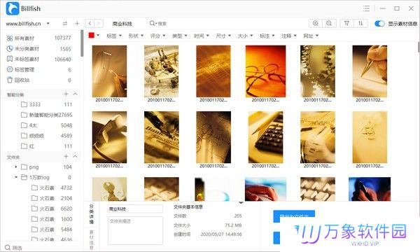 Billfish电脑版