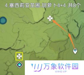 《原神》胡萝卜采集攻略