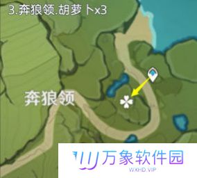 《原神》胡萝卜采集攻略