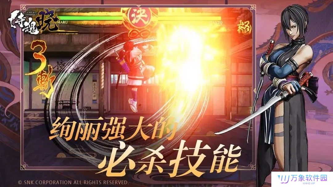 侍魂晓
