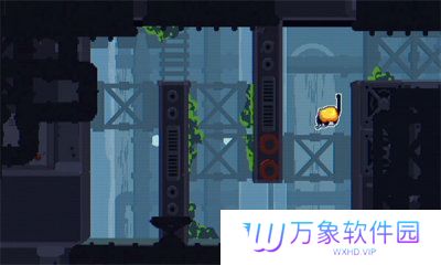 cato黄油猫