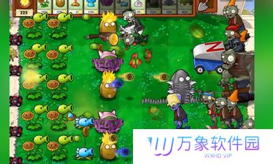 植物大战僵尸杂交版2.4