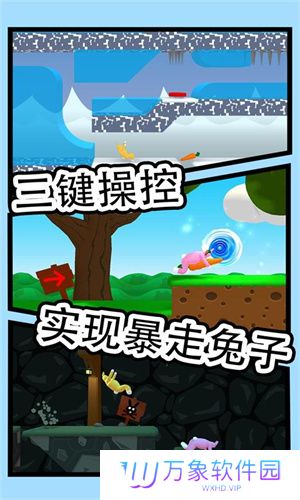 疯狂兔子人