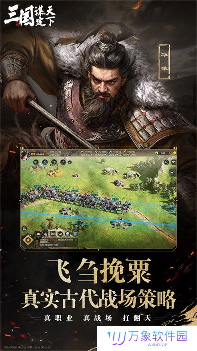 三国谋定天下vivo版